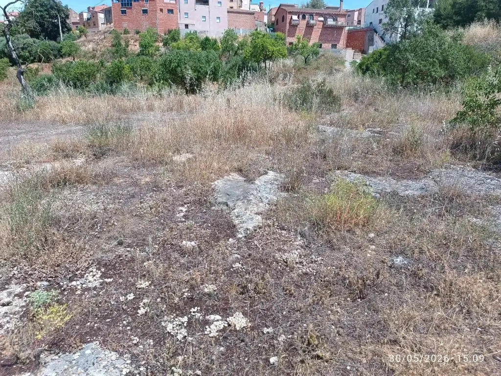 Terreno rústico en venta en Carrer Major 1, imagen 3