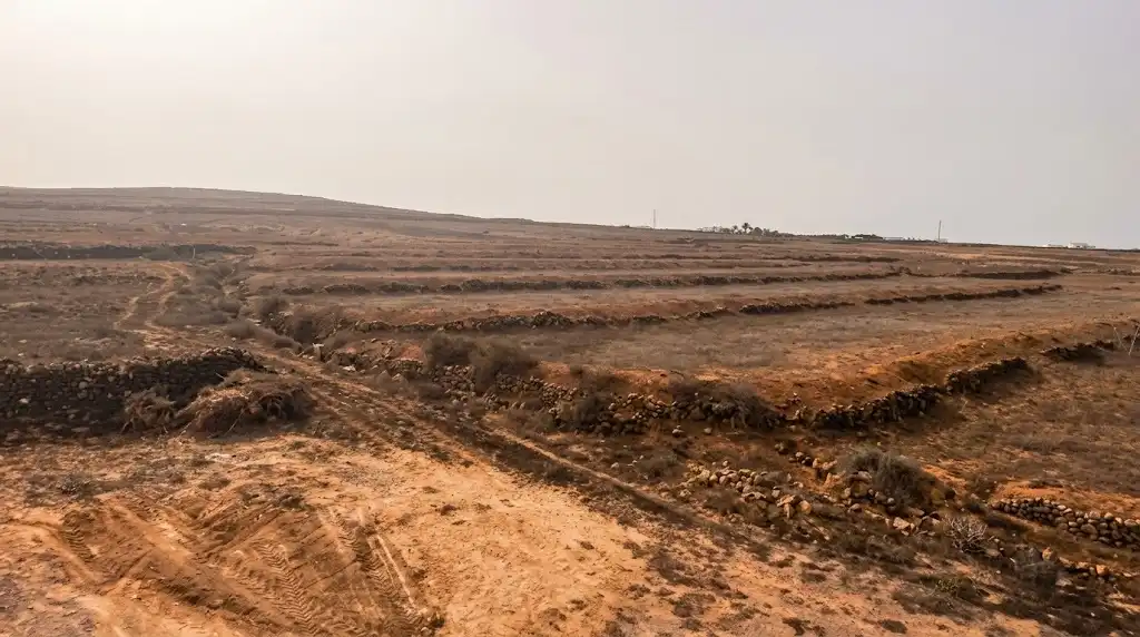 Finca rústica en venda en Tefía - Tetir