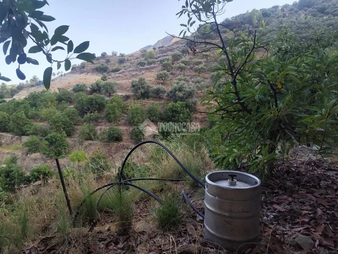 Terreno rustico in vendita a Los Guájares, imagen 13