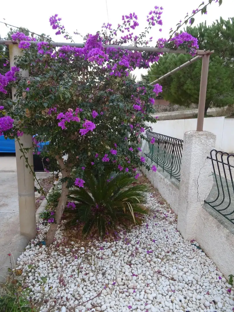 Casa rústica amb piscina en venda a Pedanías Oeste, imagen 35