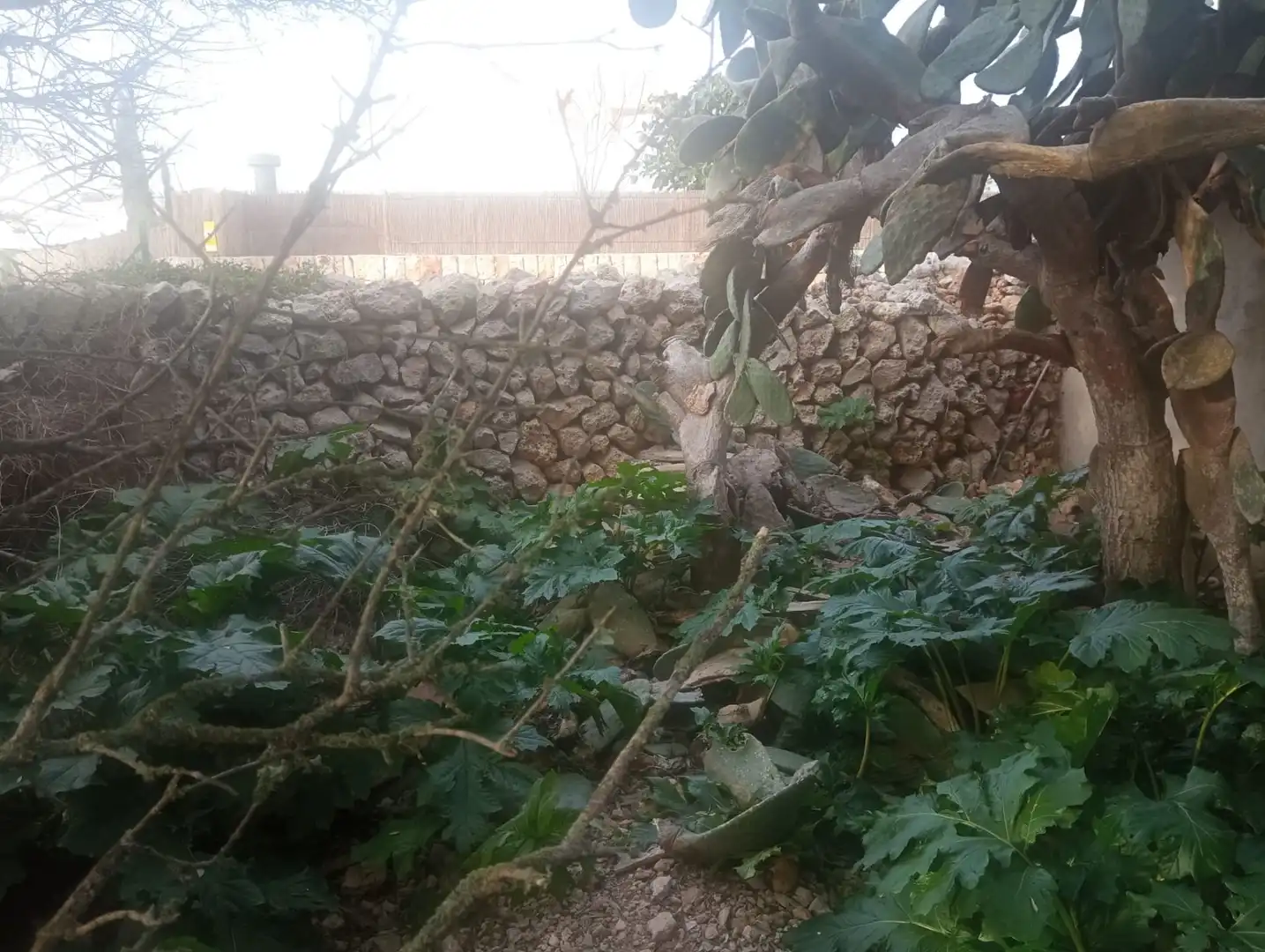 Terrenys i solars en venda a Sant Lluís - S'Ullestrar - Torret, imagen 6