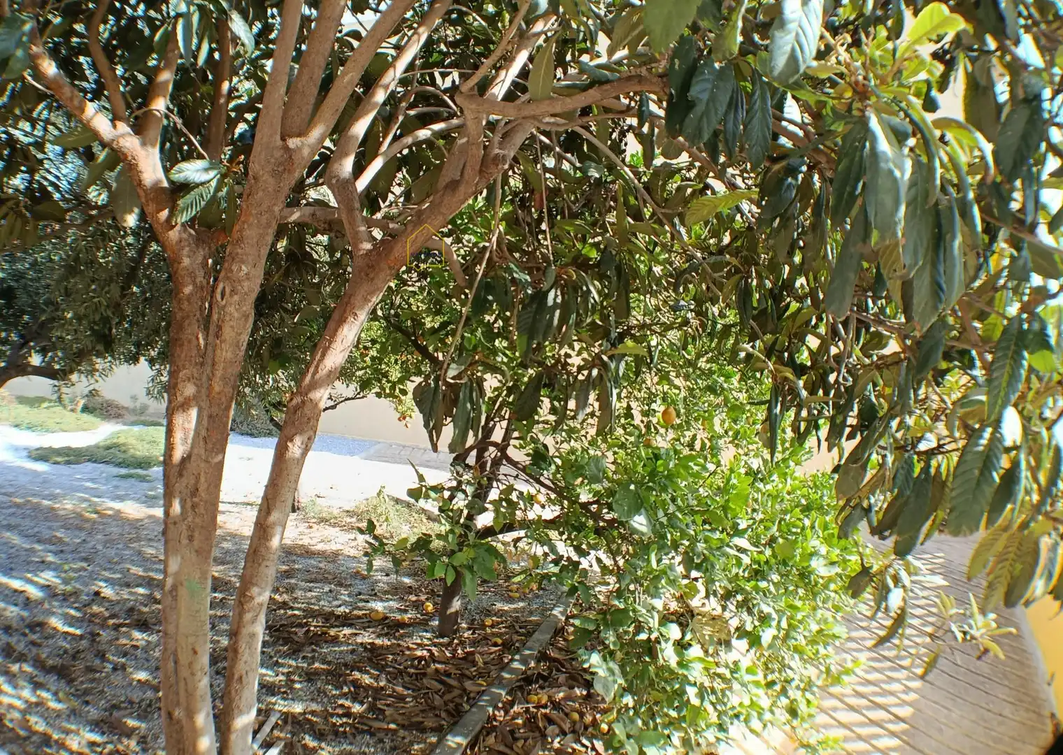 Casa o chalet en venta en Tercia
