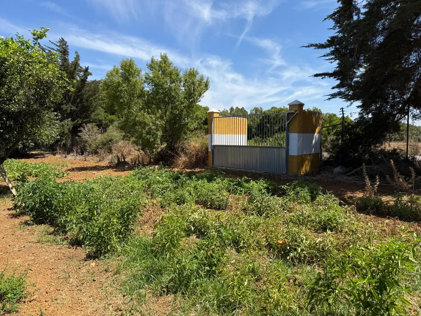 Chalet con piscina en venta en PAGO HOZANEJOS, imagen 26