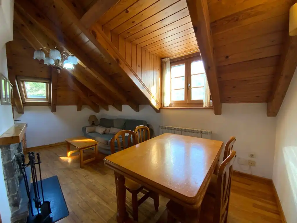 Sala de estar de Apartamento en venta en Benasque
