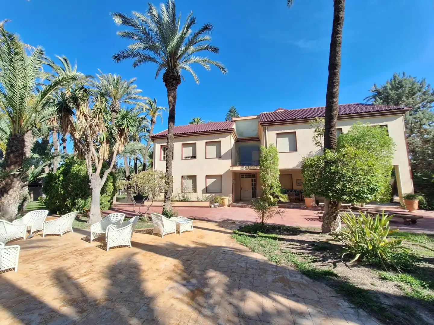 Vista exterior de Casa o chalet en venta en Elche / Elx