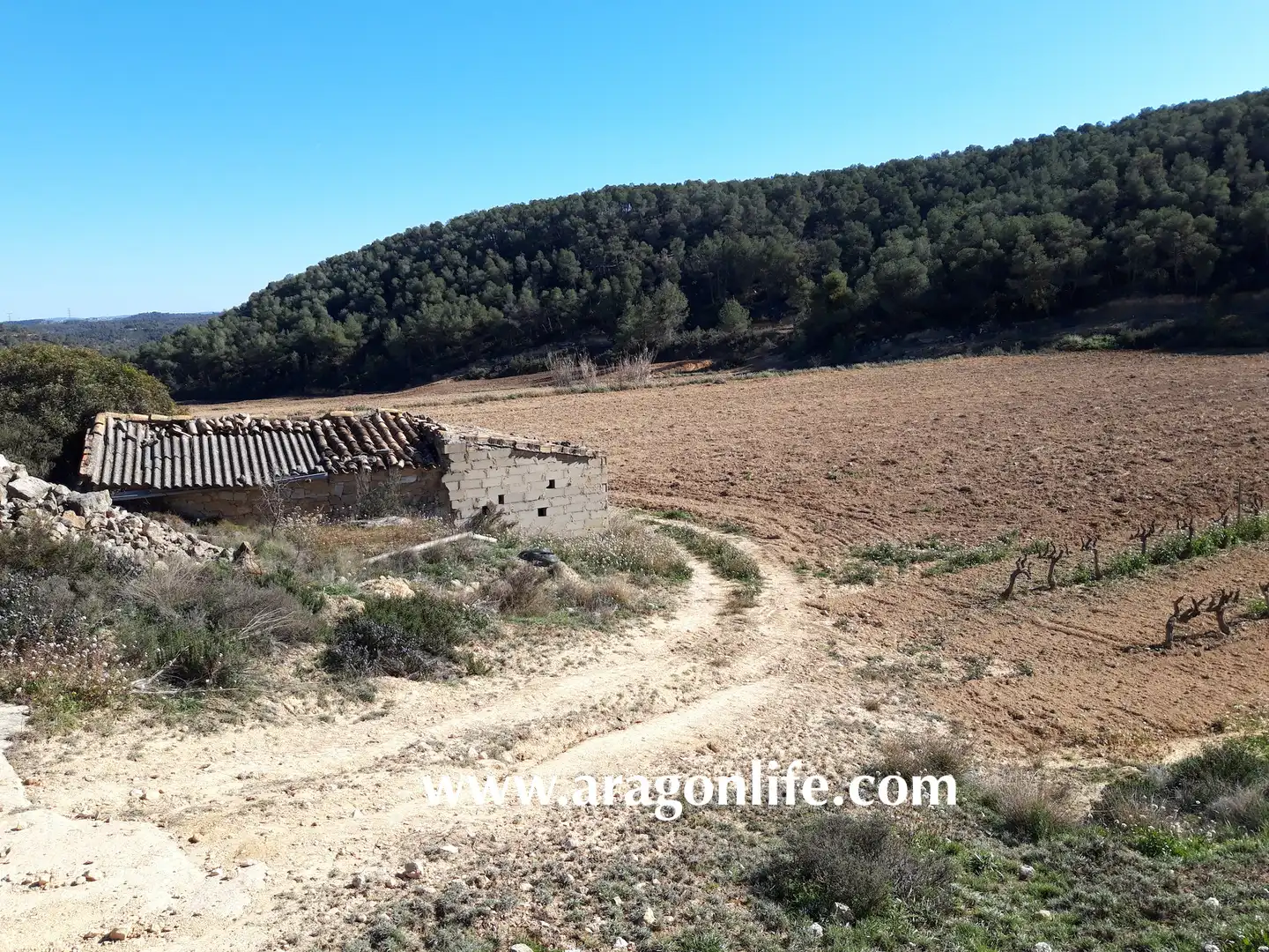 Finca rústica en venta en Nonaspe