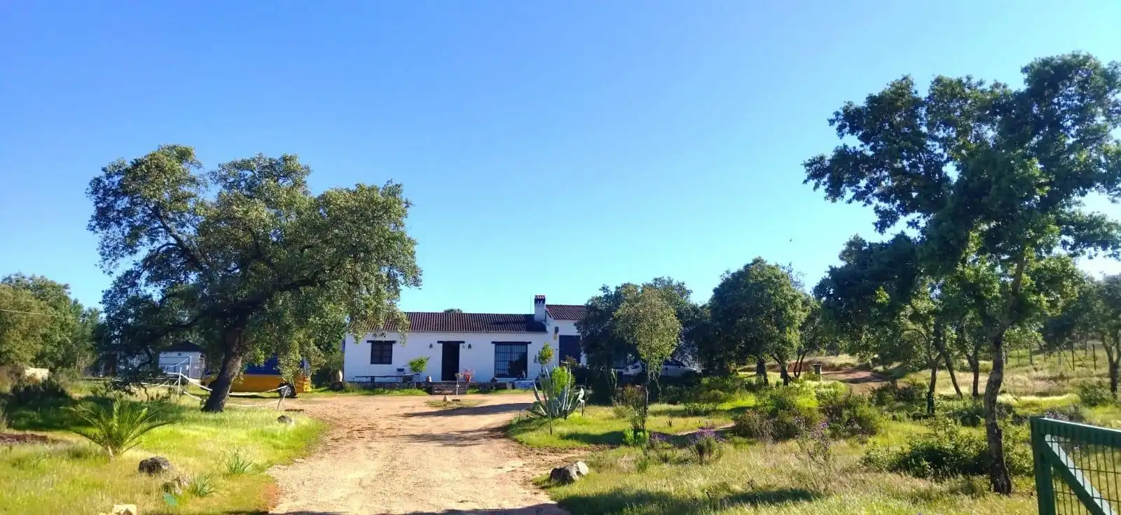 Vista exterior de Finca rústica en venda en El Ronquillo amb Aire condicionat, Jardí privat i Piscina