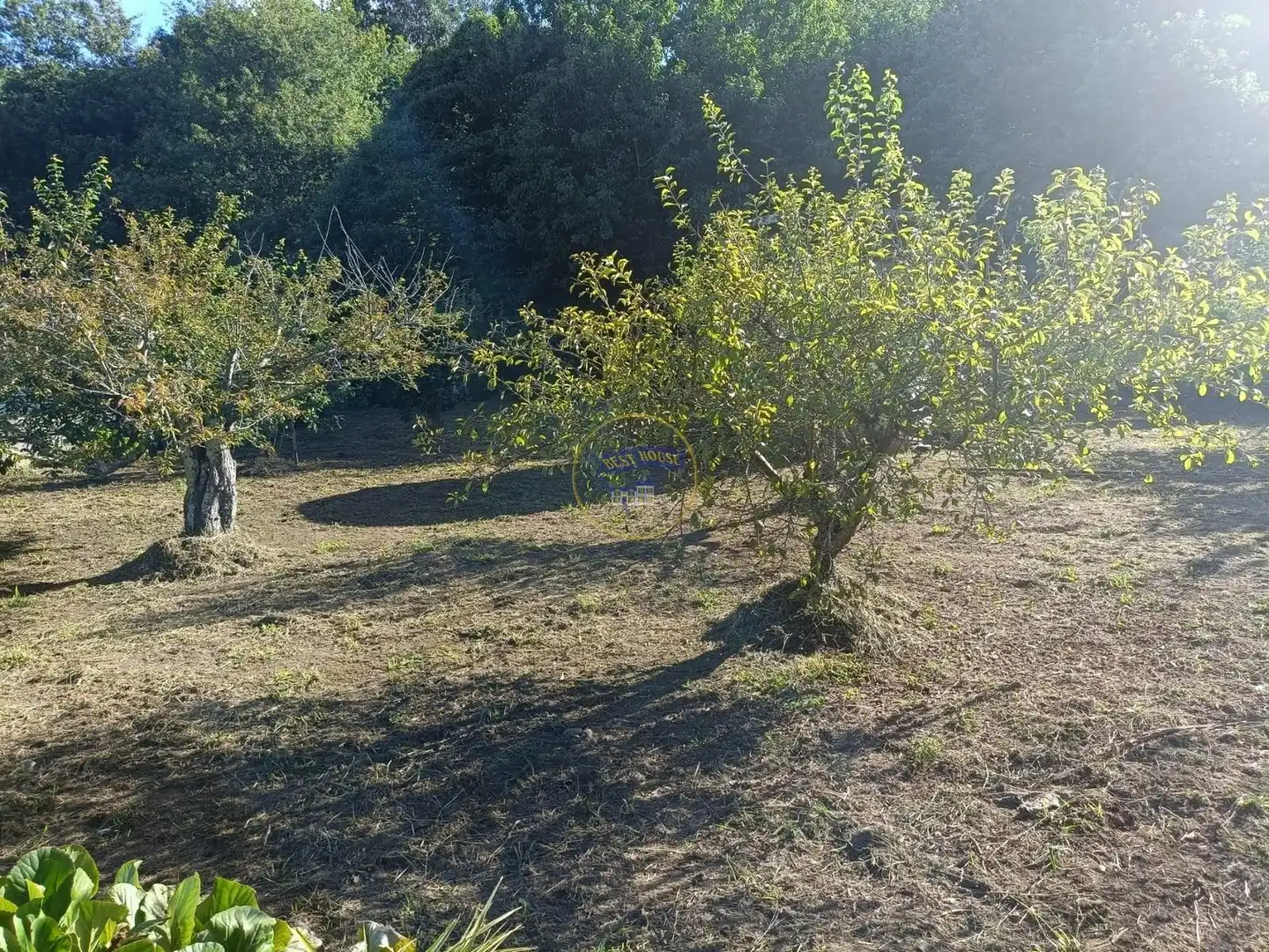 Casa o chalet en venta en Vigo  con Trastero, Amueblado y Balcón