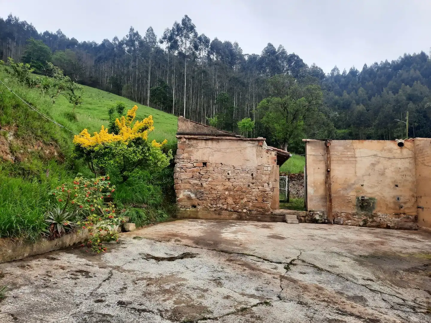 Vista exterior de Casa o chalet en venta en Gijón  con Trastero y Piscina