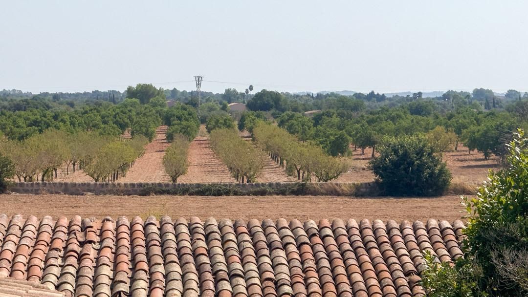 Vista exterior de Casa o xalet en venda en Santa Eugènia amb Jardí privat i Terrassa