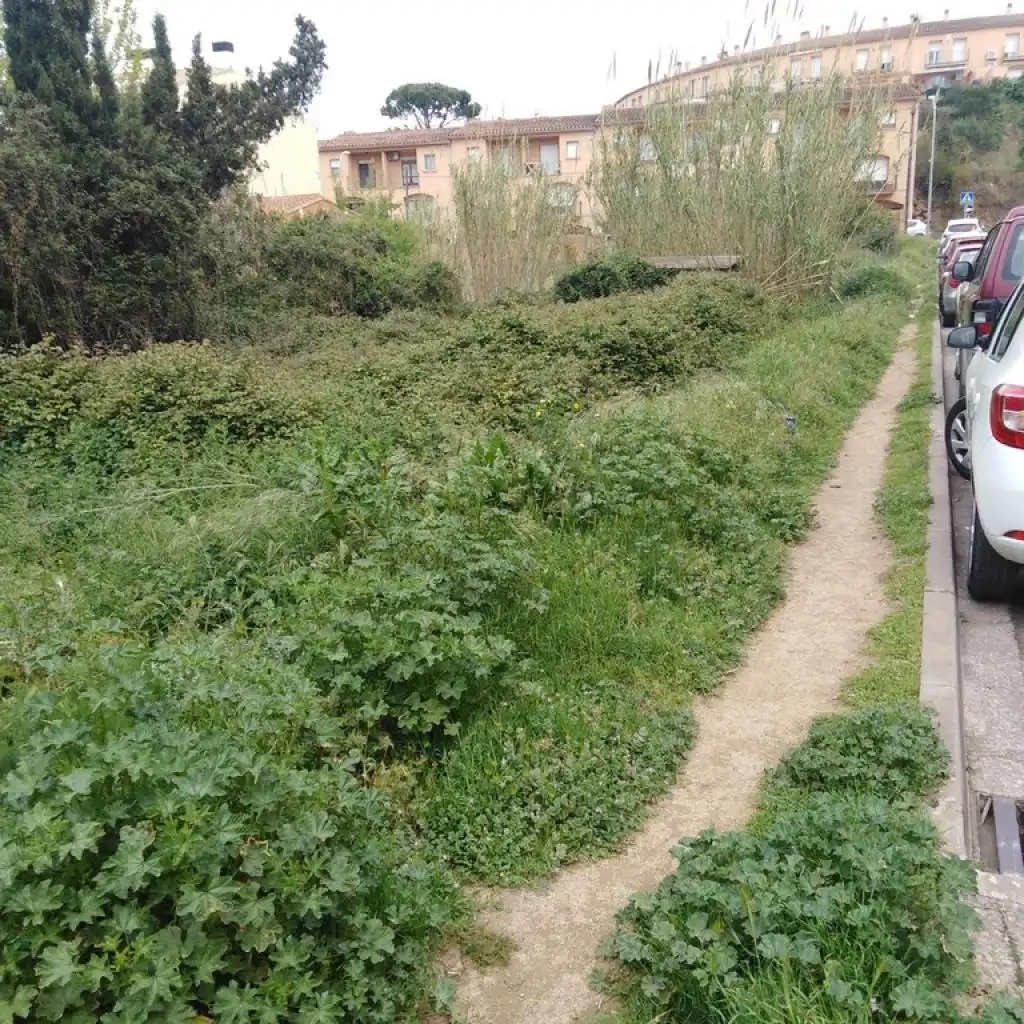 Rural land for sale in PUNXA, imagen 7