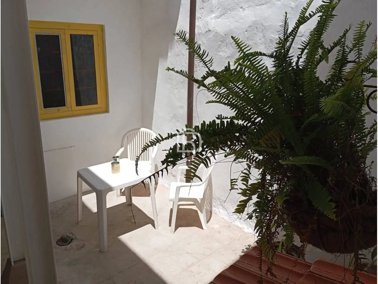 Garden of Houses for rent in Candelaria  with Furnished