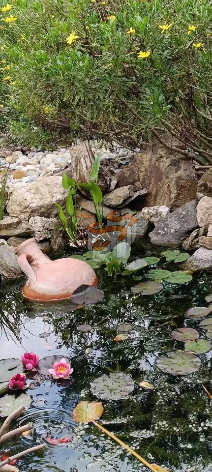 Terreni e lotti in vendita a San Sadurniño, imagen 15