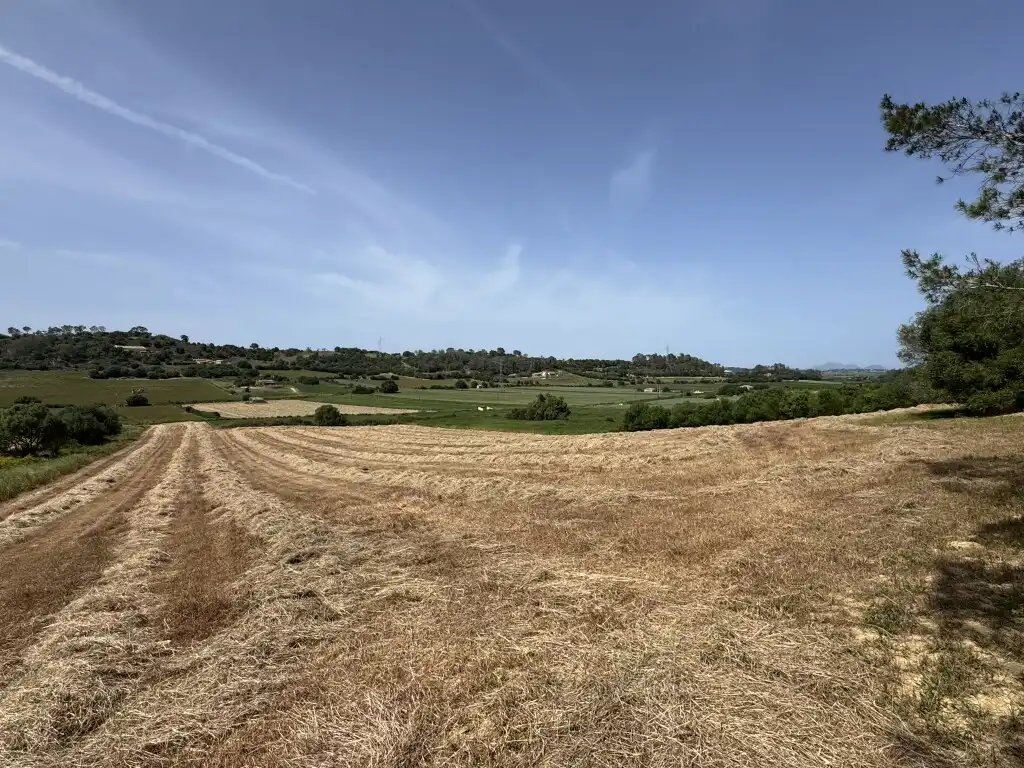 Terreny rústic en venda a Sineu, imagen 12