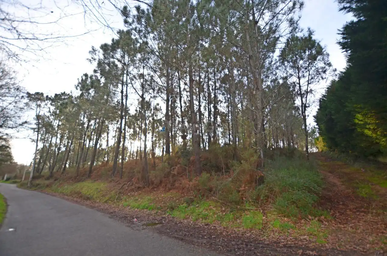 Terreno rustico in vendita a CARREGAL ABAIXO, imagen 4