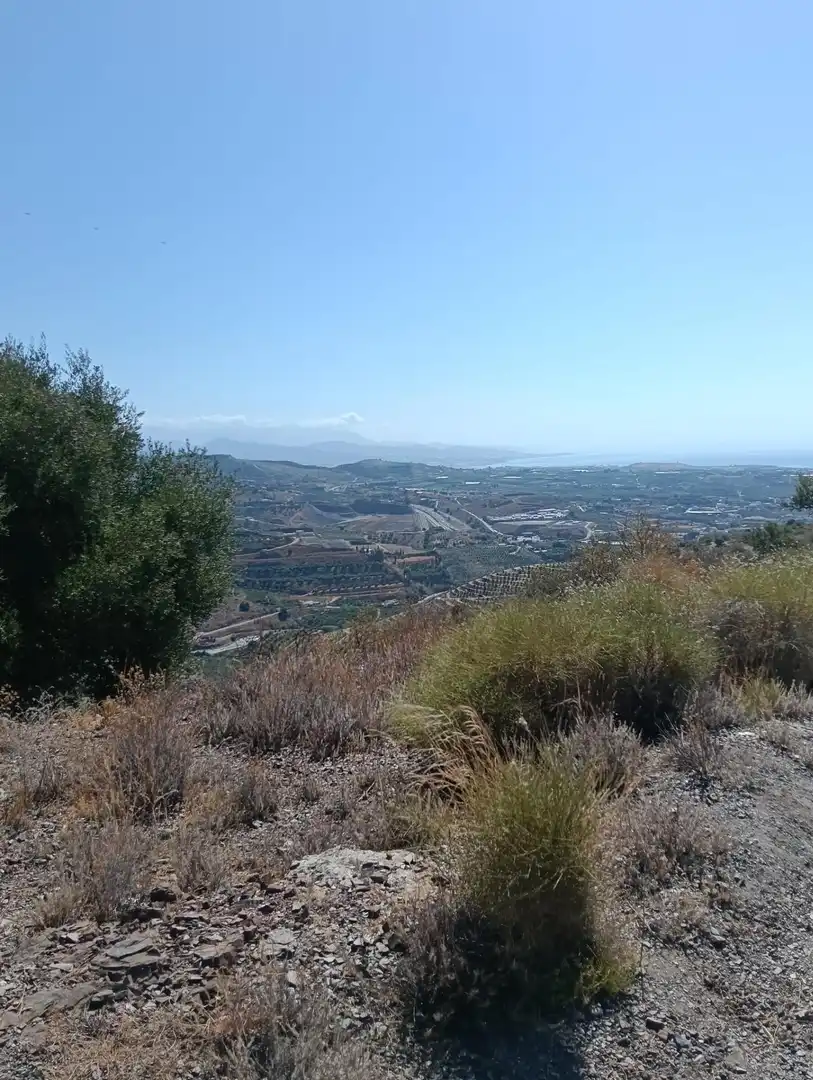Terreni e lotti in vendita a Benajarafe, imagen 15