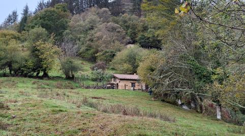 Foto 4 de Finca rústica en venda a Infiesto - Berones, 30, Piloña, Asturias
