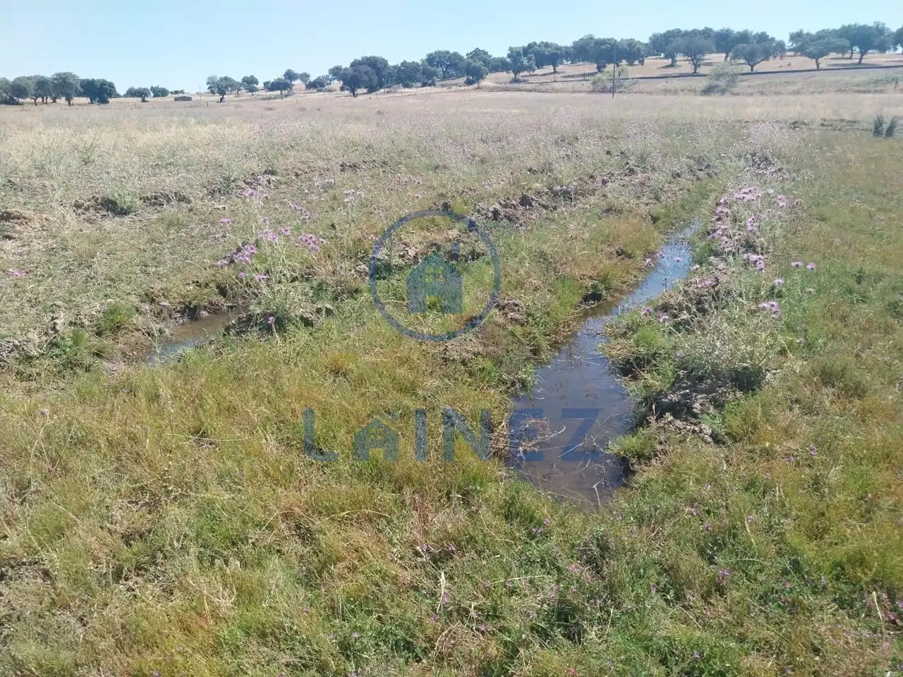 Rural land for sale in Fuente Obejuna, imagen 34