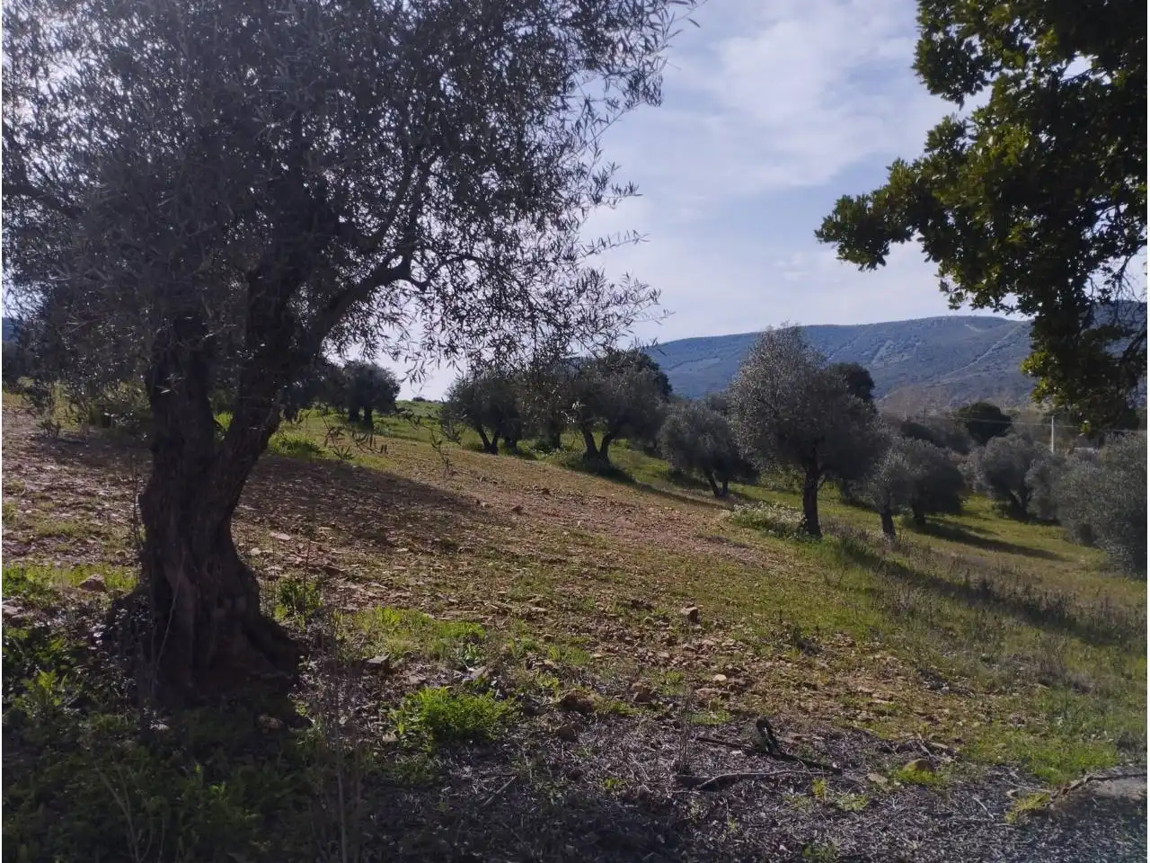 Terrenos y solares en venta en Badajoz, imagen 32