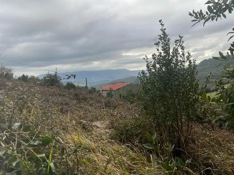 Terreno rustico in vendita a Selorio - Tornón