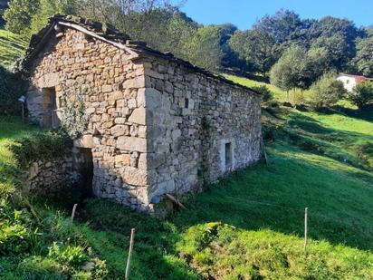 Vista exterior de Casa o xalet en venda en Selaya amb Jardí privat