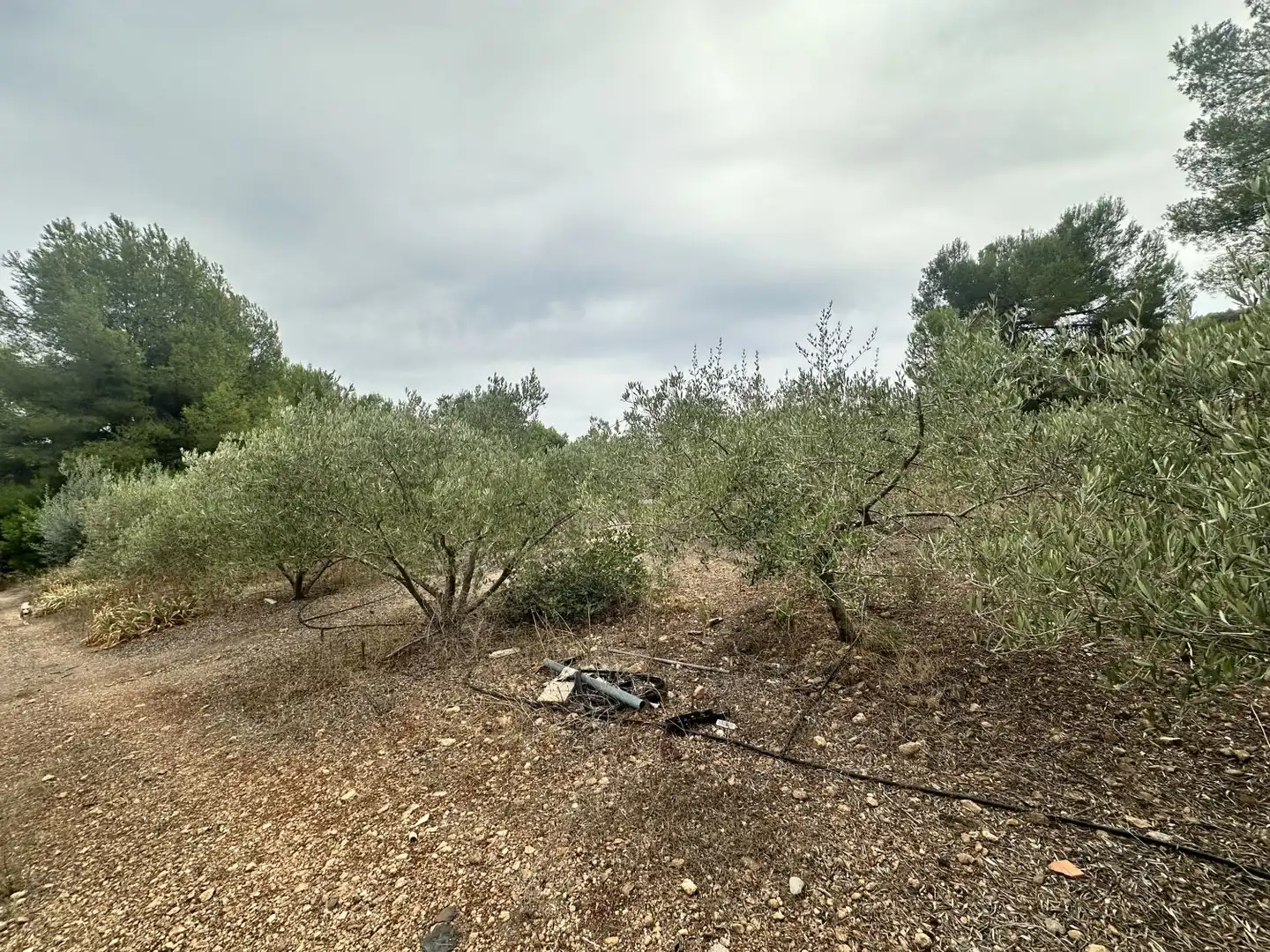 Xalet amb piscina en venda a Algar de Palància, imagen 6