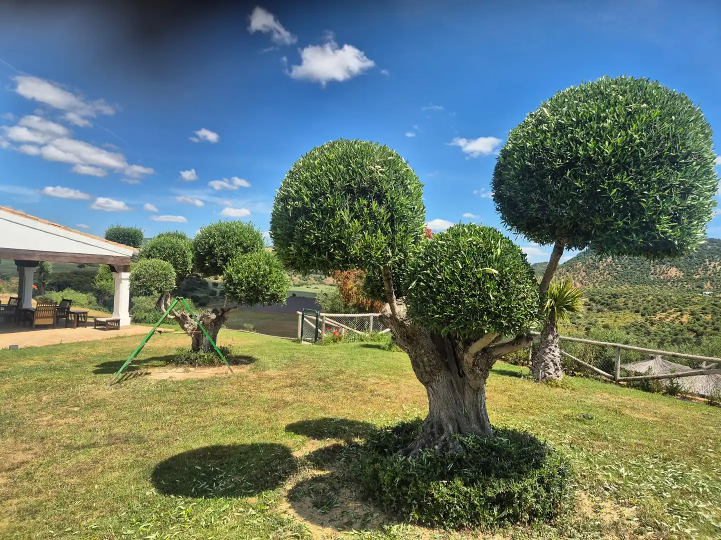 Jardí de Finca rústica en venda en Puerto Serrano amb Aire condicionat, Calefacció i Jardí privat