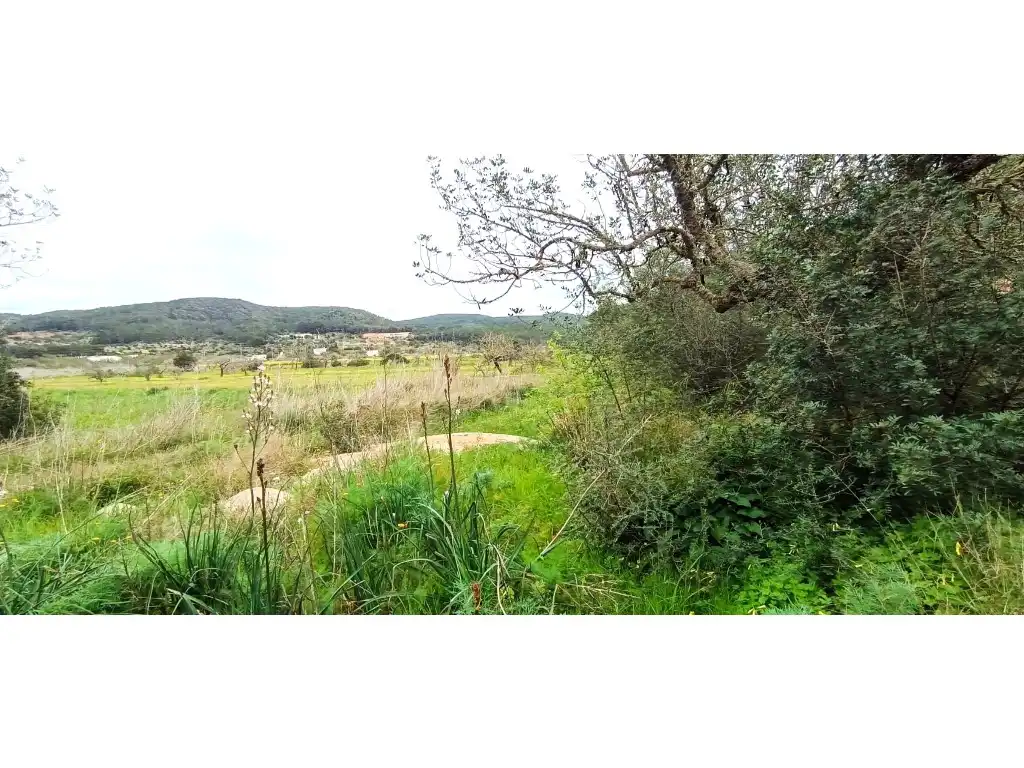 Casa rústica en venda a Carretera Sant Mateu-Sant Miquel, imagen 9