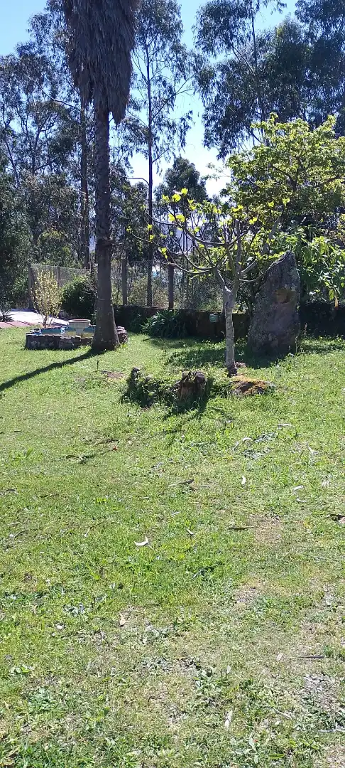 Houses for sale in O Hío