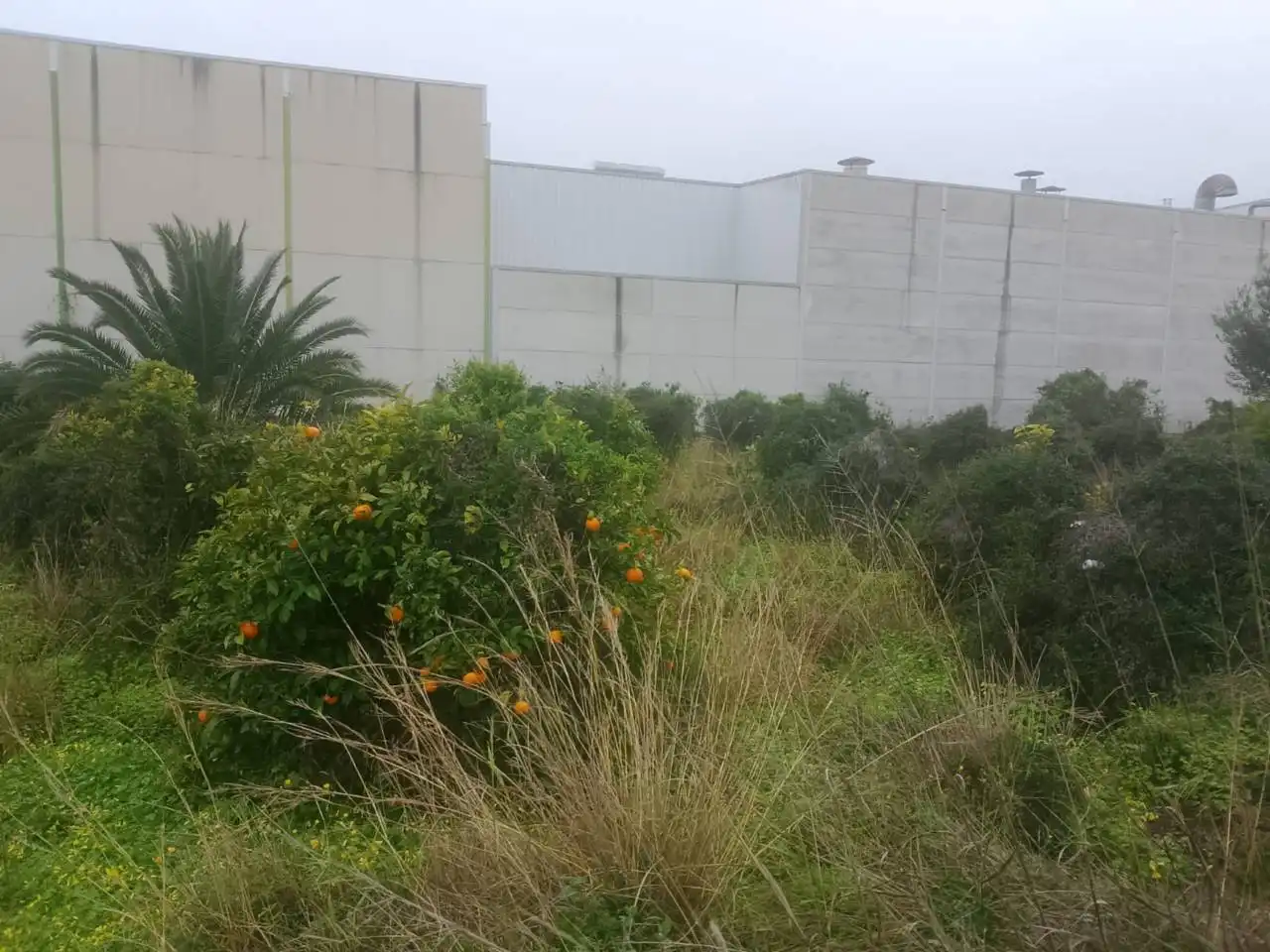 Industrial land for sale in Calle Ponent, imagen 8