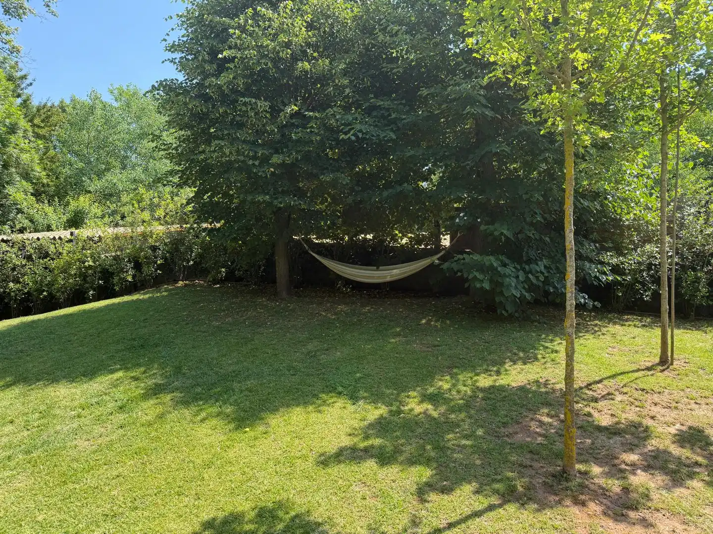Chalet con piscina en venta en Les Preses, imagen 10