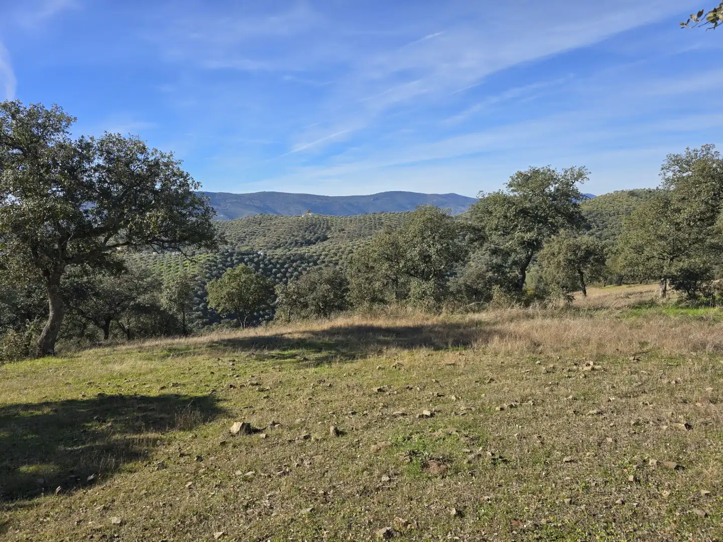Casa rústica en venta en Pozoblanco, imagen 19