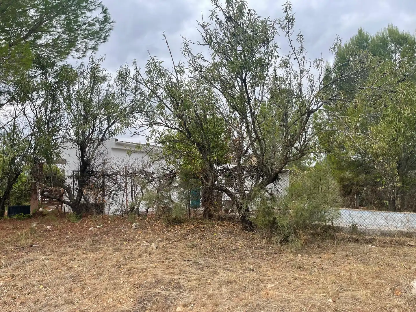 Villa avec piscine à vendre à Turís, imagen 37