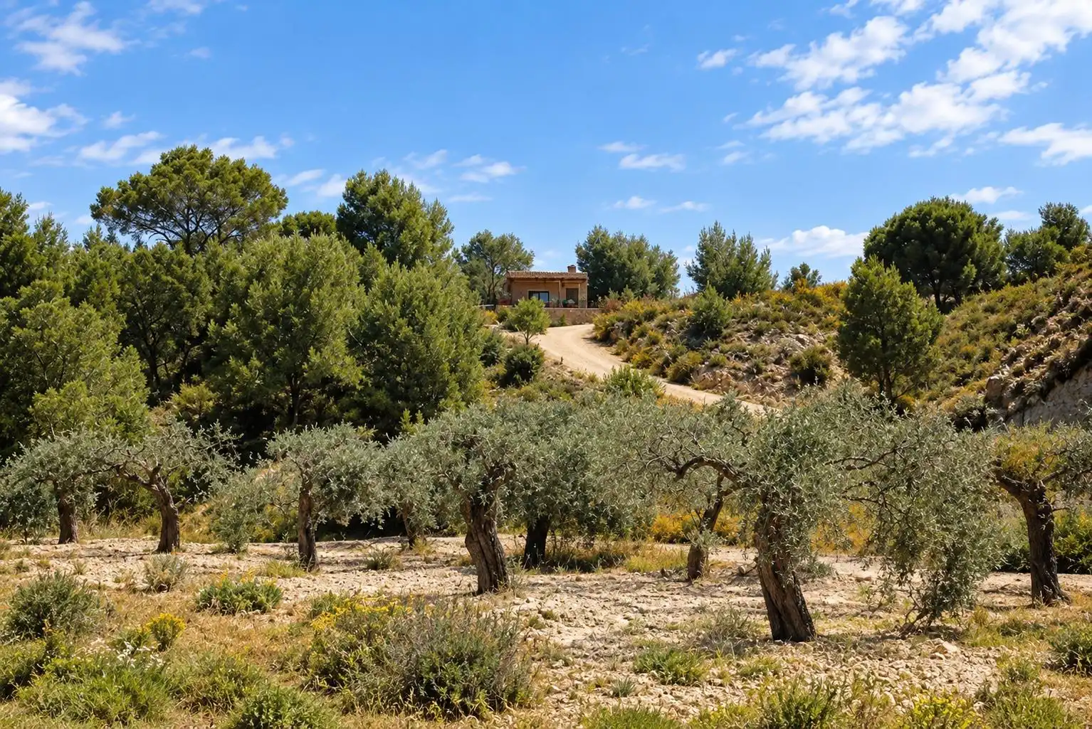 Xalet amb terrassa en venda a Calle Sierra de Columbares, imagen 35