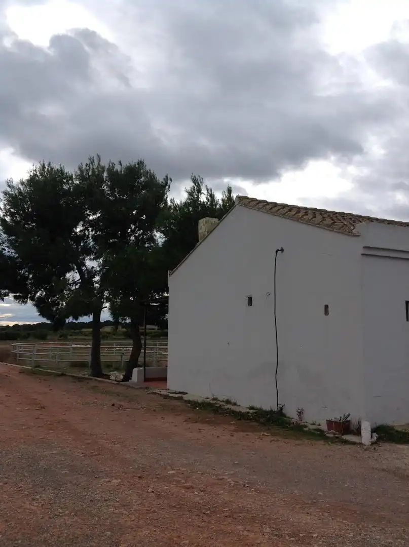 Vista exterior de Casa o chalet en venta en Moncada