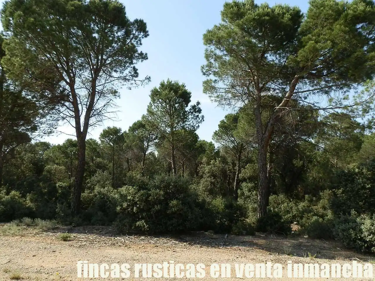 Terreni e lotti in vendita a Pozoamargo, imagen 8