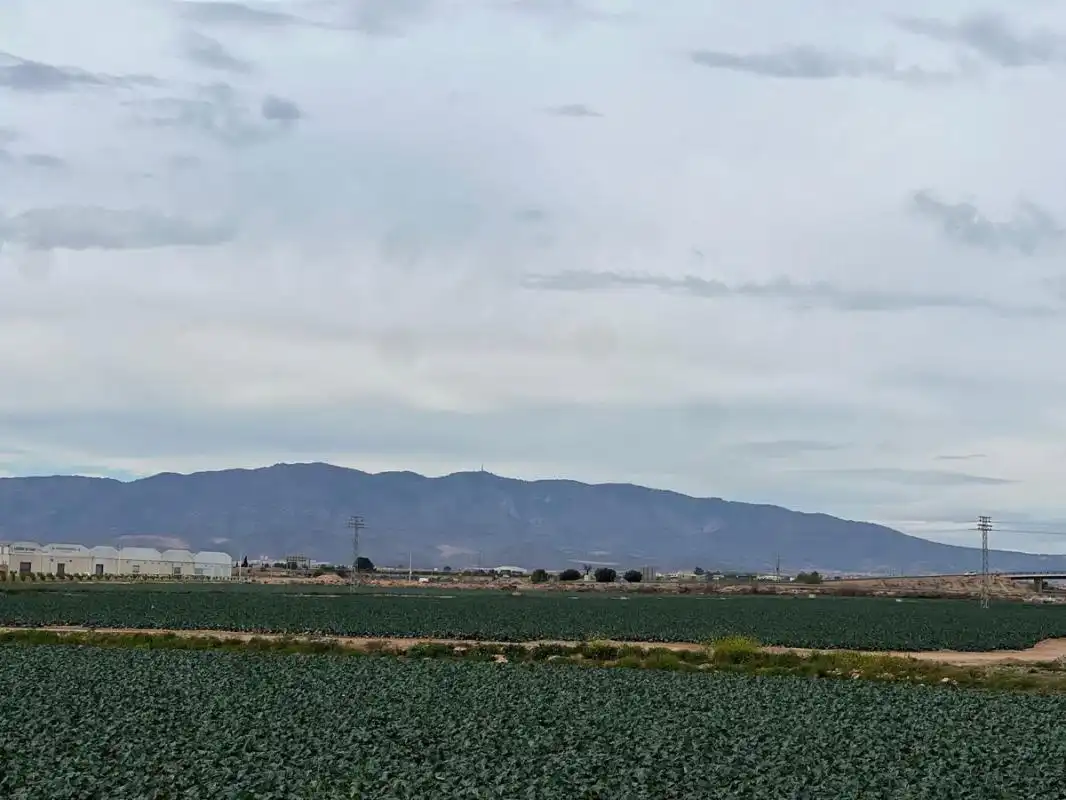 Vista exterior de Terreno industrial en venta en Murcia