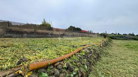 Photo 3 of Land for sale in Guayonje - Mesa del Mar, Tacoronte