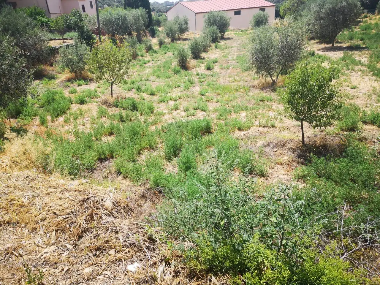 Industrial land for sale in Azlor