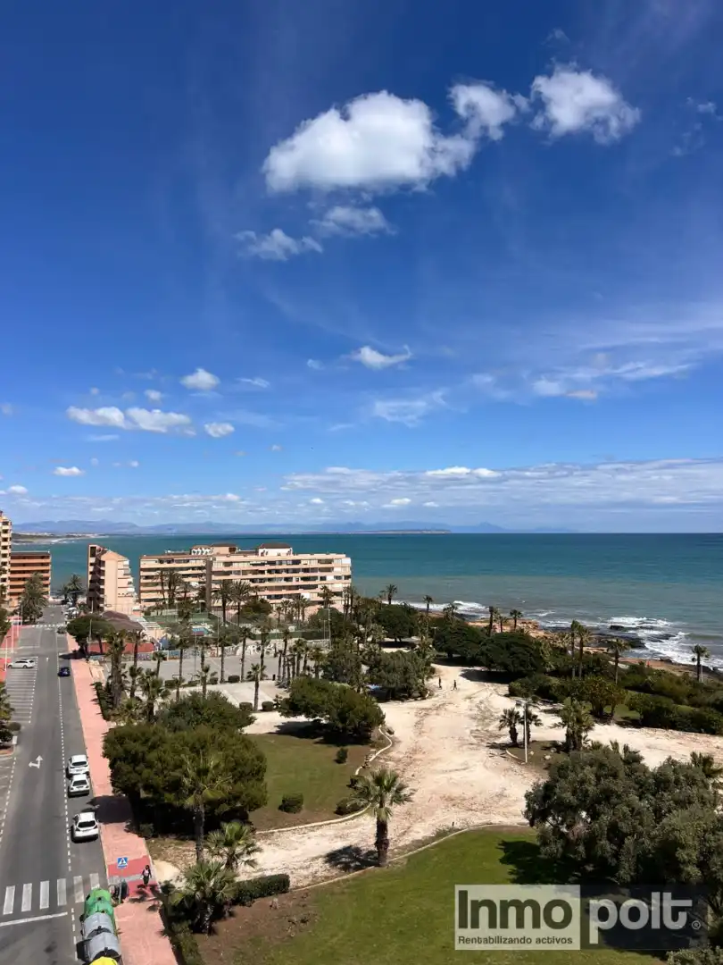 Vista exterior de Apartament de lloguer en Torrevieja amb Jardí privat, Moblat i Forn