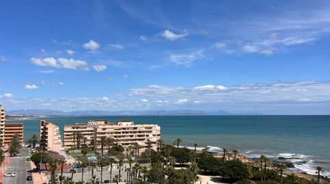 Foto 4 von Wohnungen zur Miete in Avenida de las Sirenas, 10, Miramar - Torre del Moro, Torrevieja