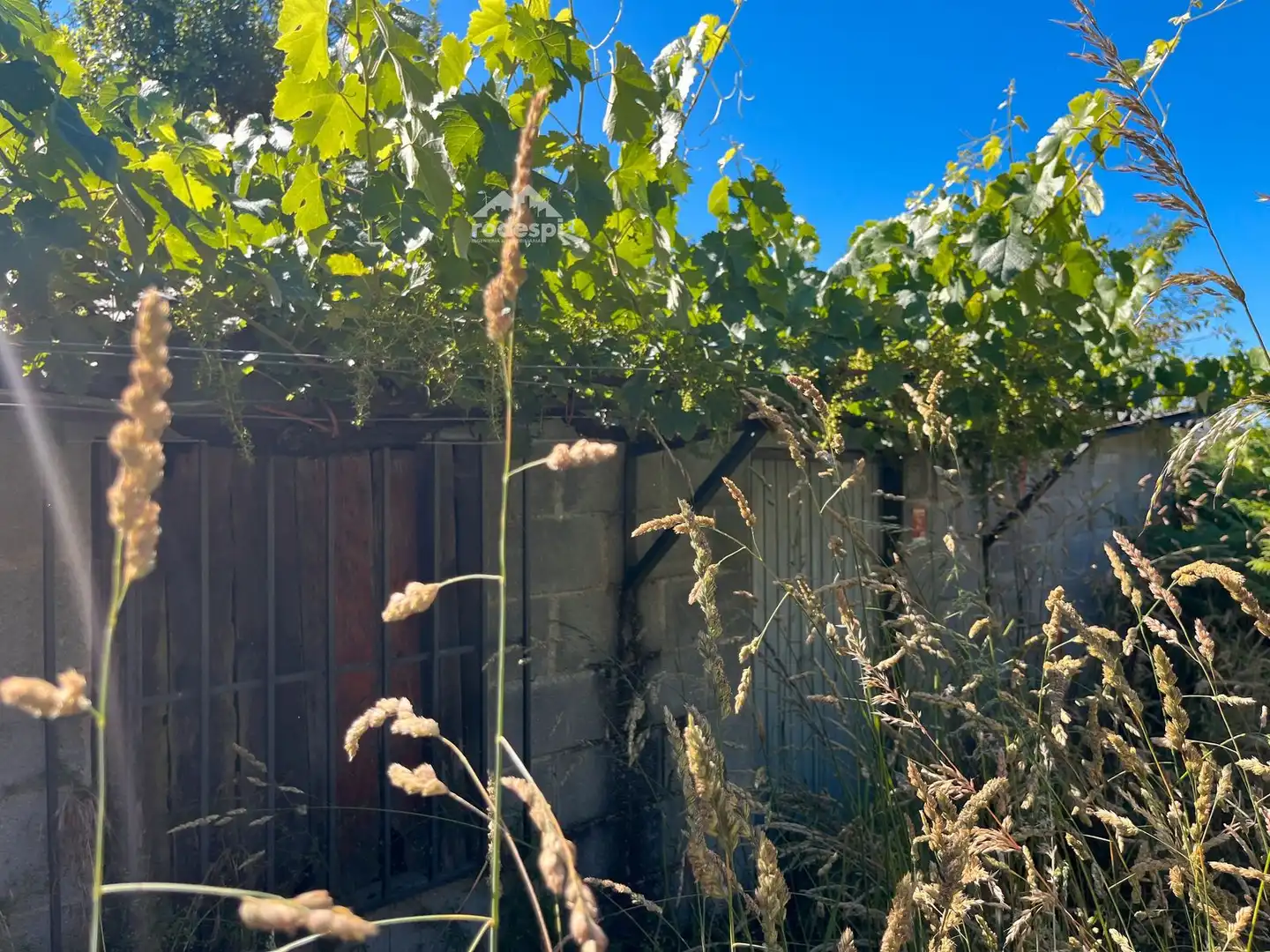 Jardín de Casa o chalet en venta en Piñor con Trastero y Amueblado
