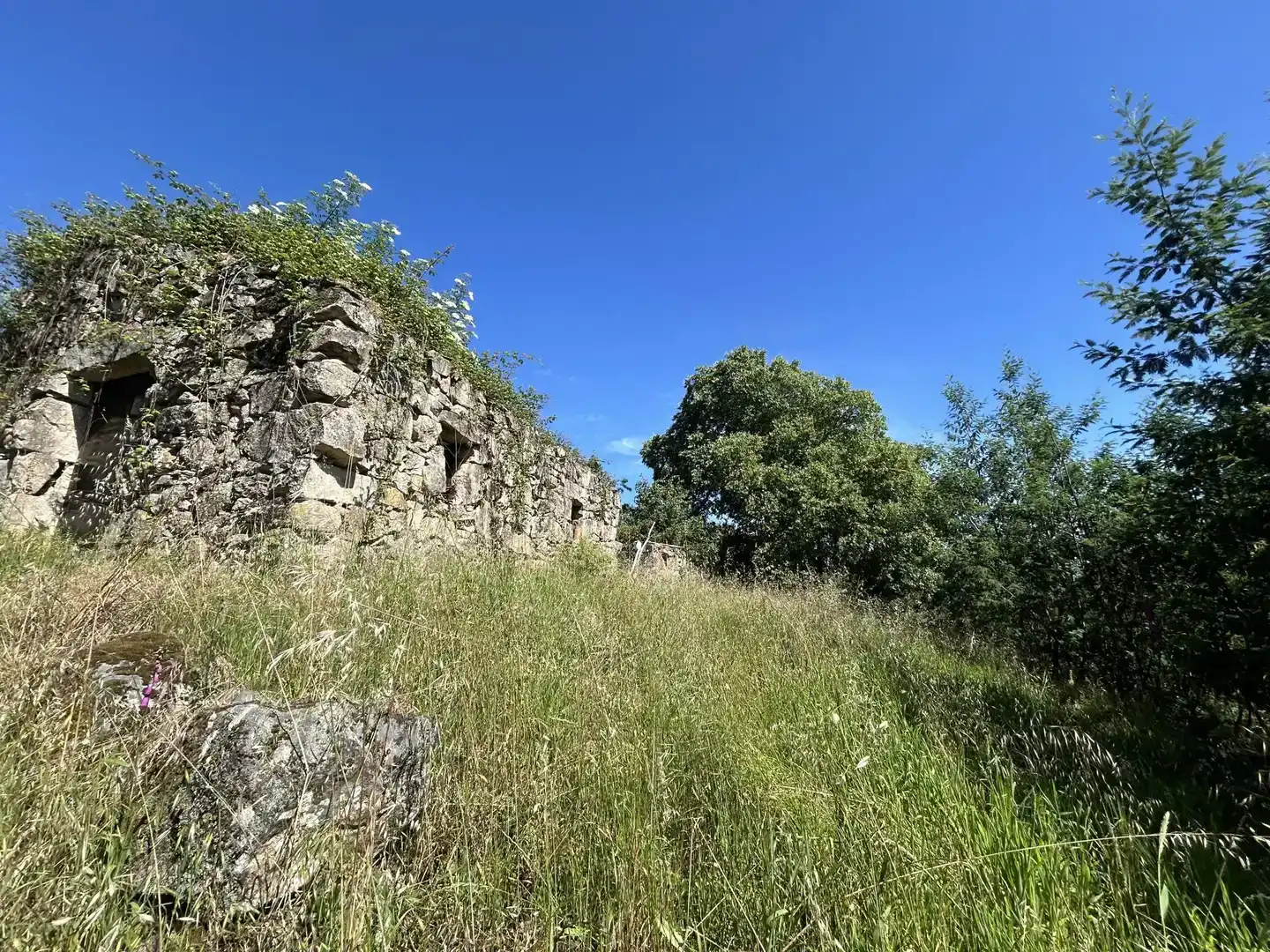 Finca rústica en venda en Ourense Capital  amb Jardí privat