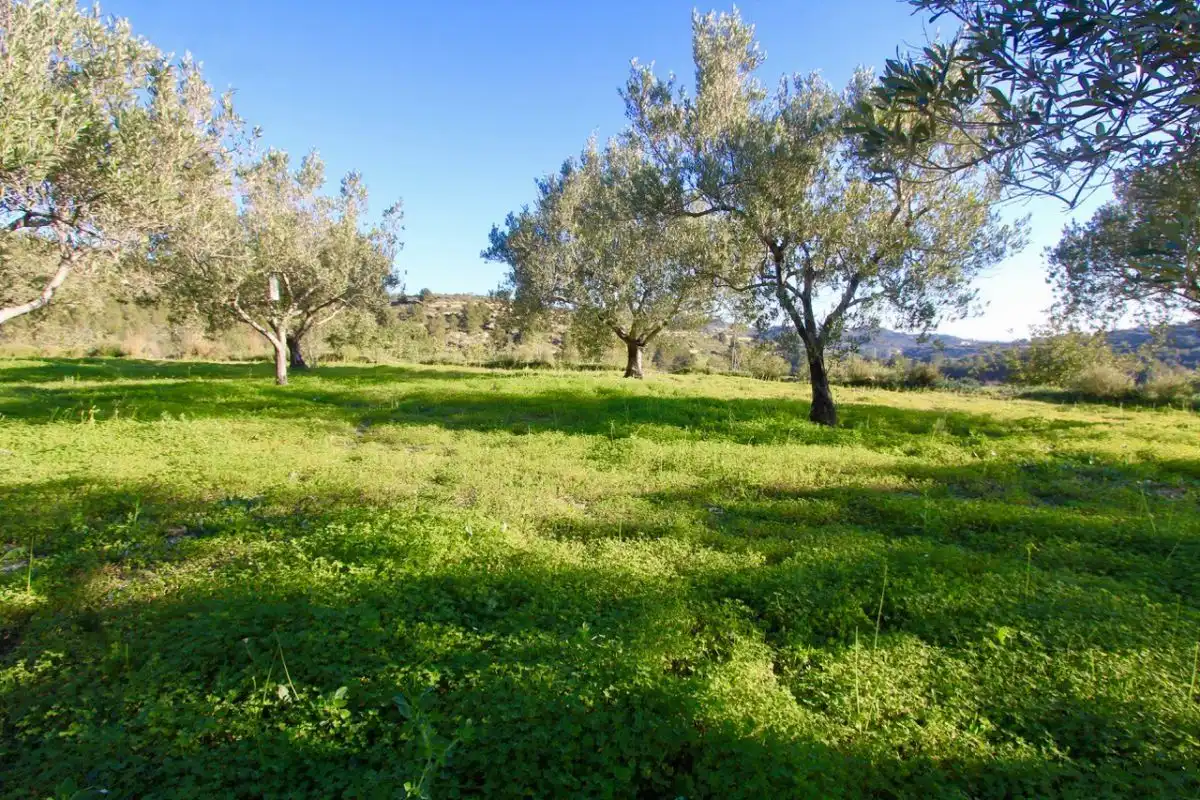 Terreno rústico en venta en Benissa pueblo, imagen 8