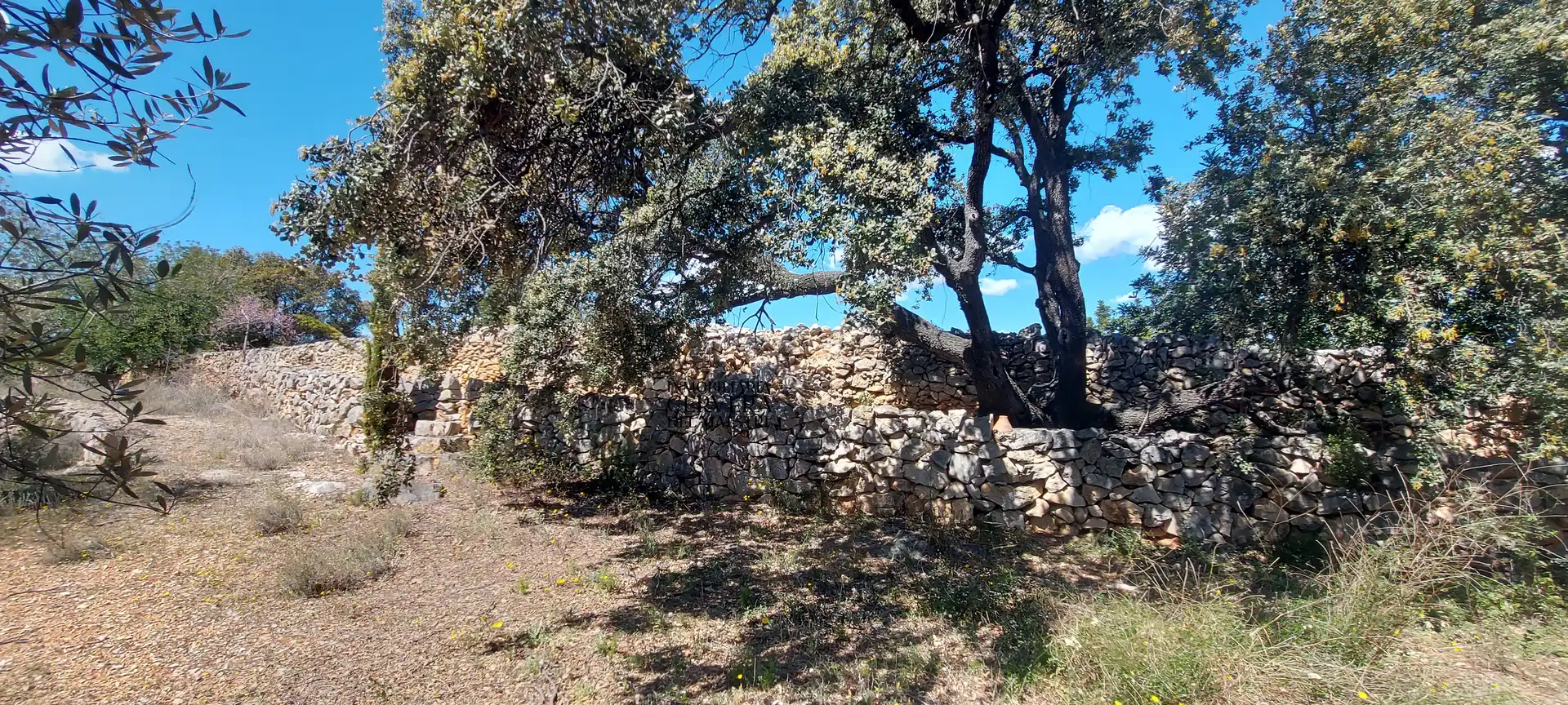 Terreno rustico in vendita a Cervera del Maestre, imagen 19
