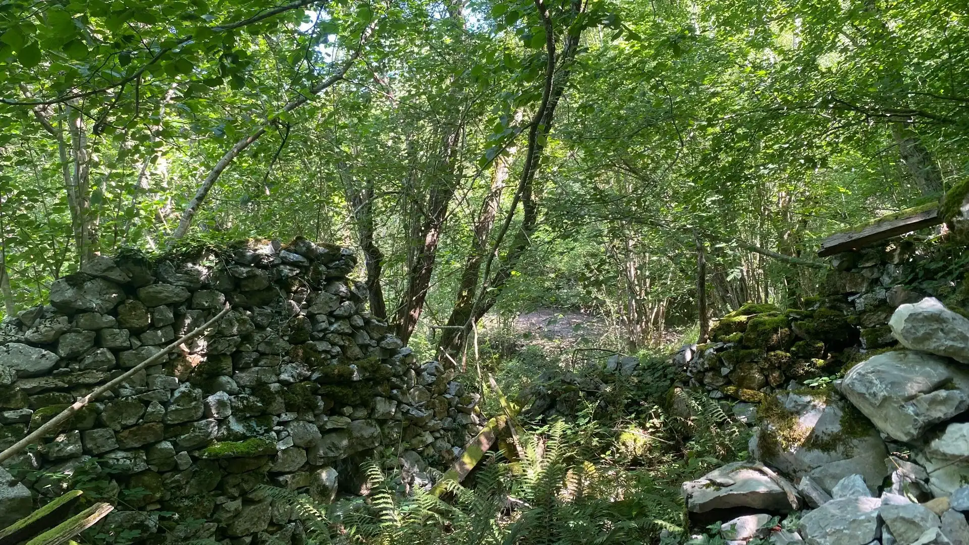 Terreno rustico in vendita a SEGÜENCO, imagen 26