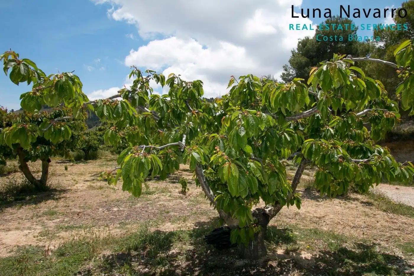 Casa rustica con giardino in vendita a confrides, imagen 3