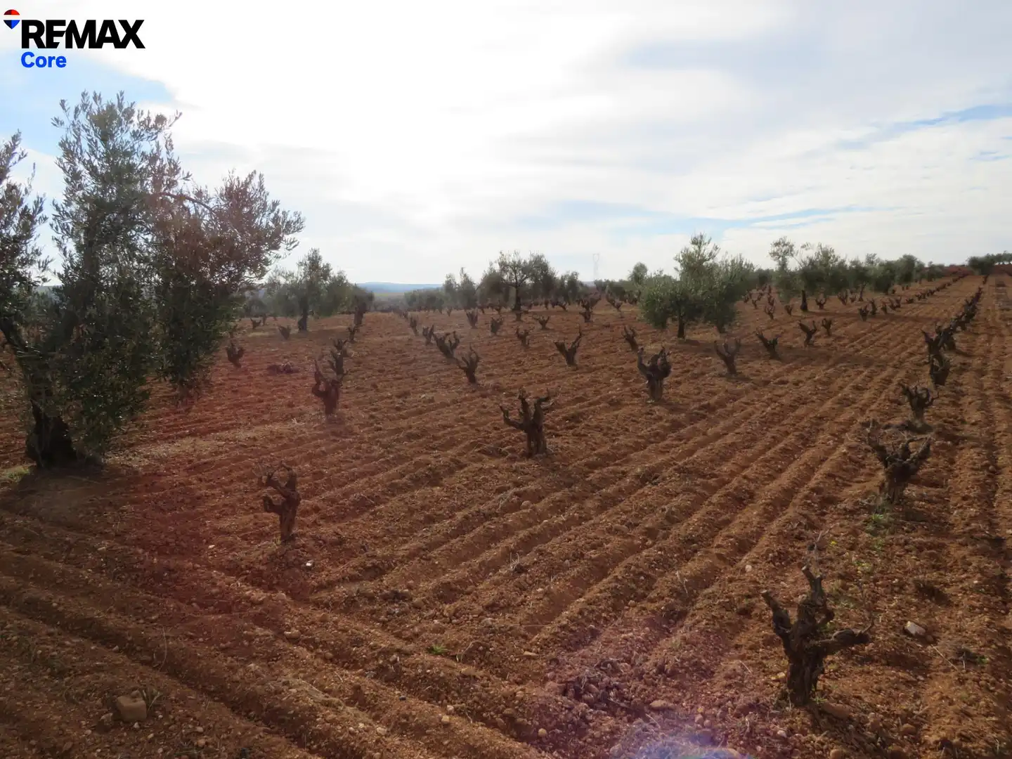 Grundstücke zum Verkauf in La Zarza (Badajoz)
