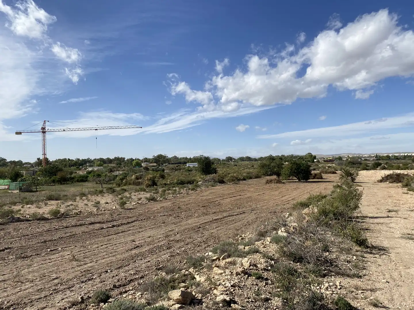 Land for sale in Elche / Elx