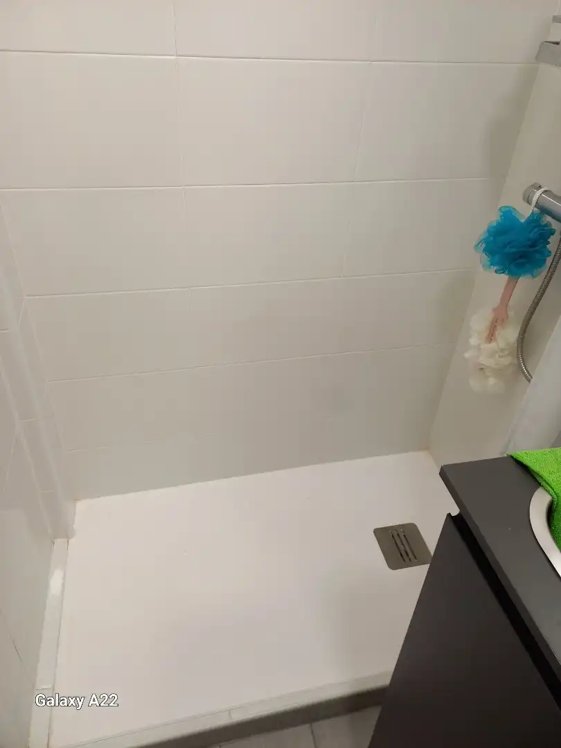 Baño de Local en venta en Daimús